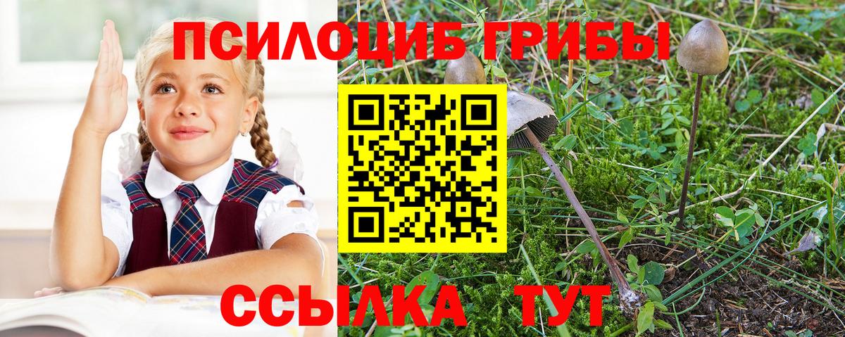 Темрюк  Псилоцибиновые грибы MAGIC MUSHROOMS  дарнет шоп  Псилоцибиновые грибы GOLDEN TEACHER  Вход с VPN 