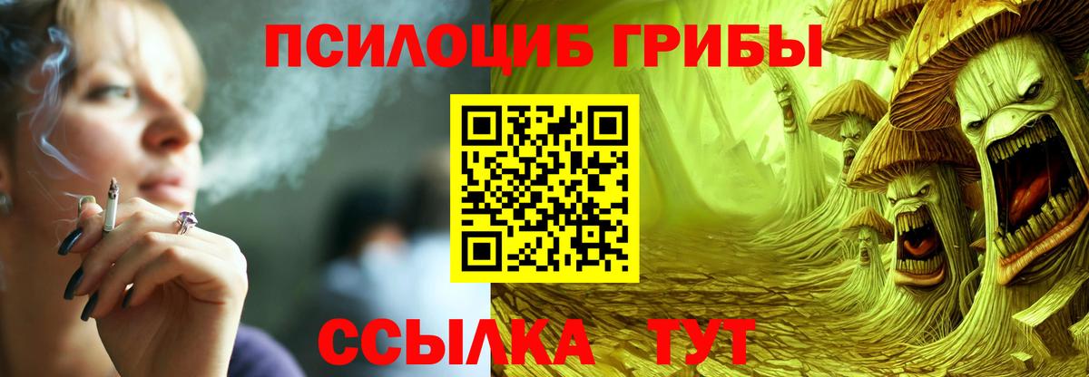 Псилоцибиновые грибы Psilocybe Темрюк